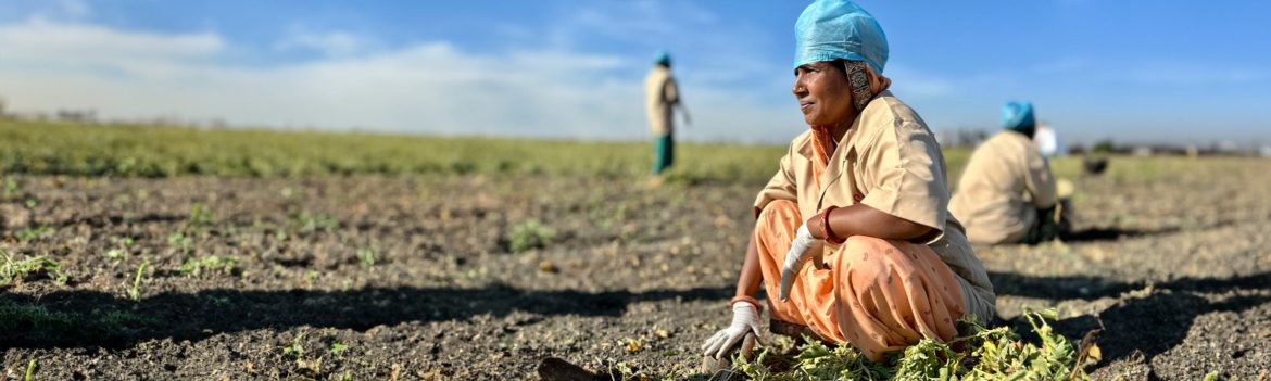 5 Healthy Benefits of Ashwagandha 5 Healthy Benefits of Ashwagandha