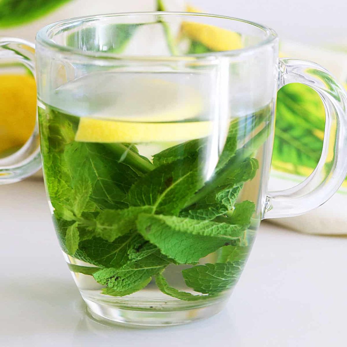 Mint Tea Recipe - Healthy Recipes Blog