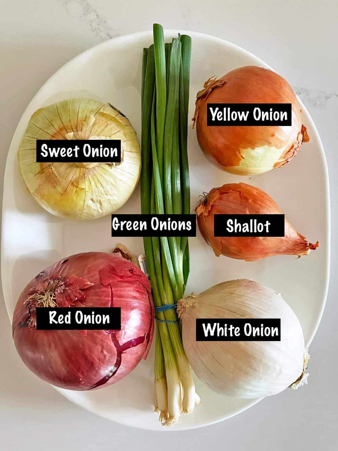 Onion Types Onion Types